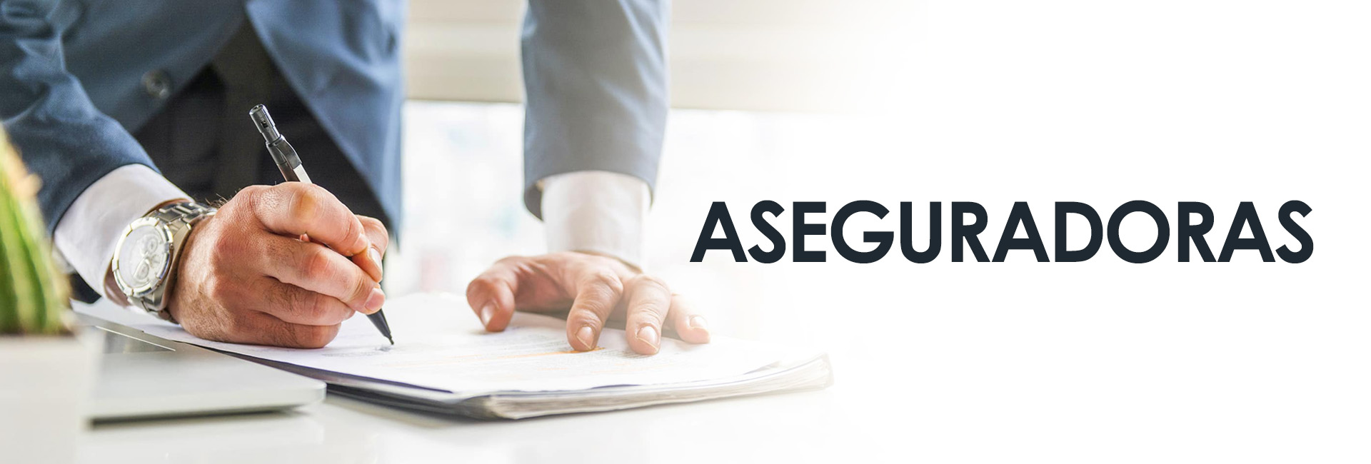 Banner-ASEGURADORAS